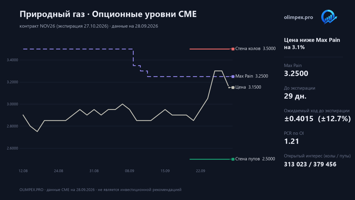 Природный газ: опционные уровни CME